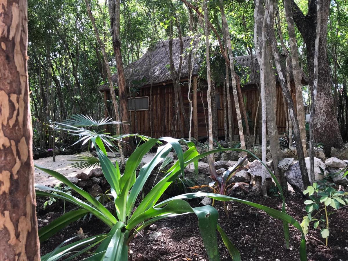 Bayou Tulum Eksteriør billede