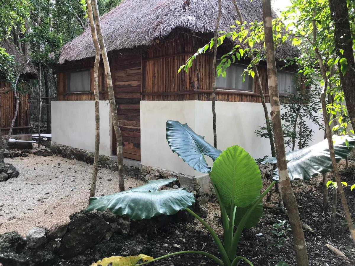Bayou Tulum Eksteriør billede